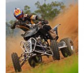 2010 Arqin F450 photo